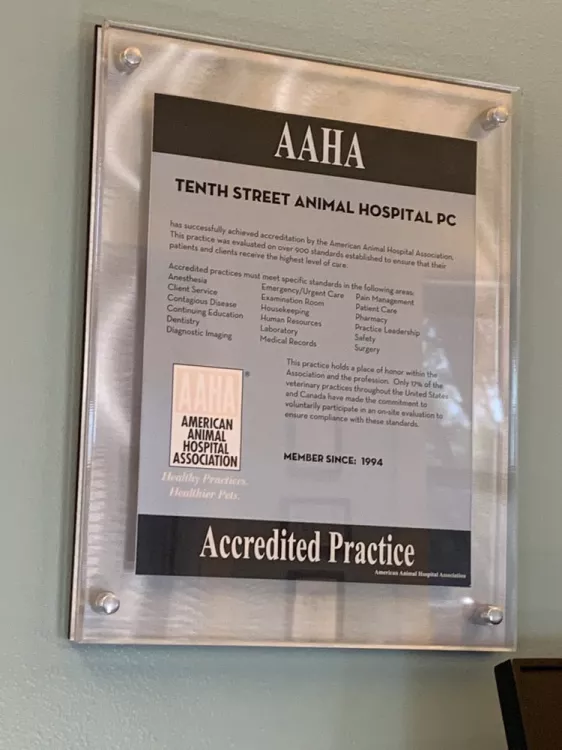 Tenth Street Animal Hospital, North Carolina, Greenville